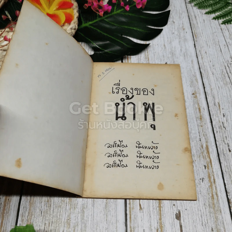 เรื่องของน้ำพุ - วงศ์เมือง นันทขว้าง รูปที่ 4
