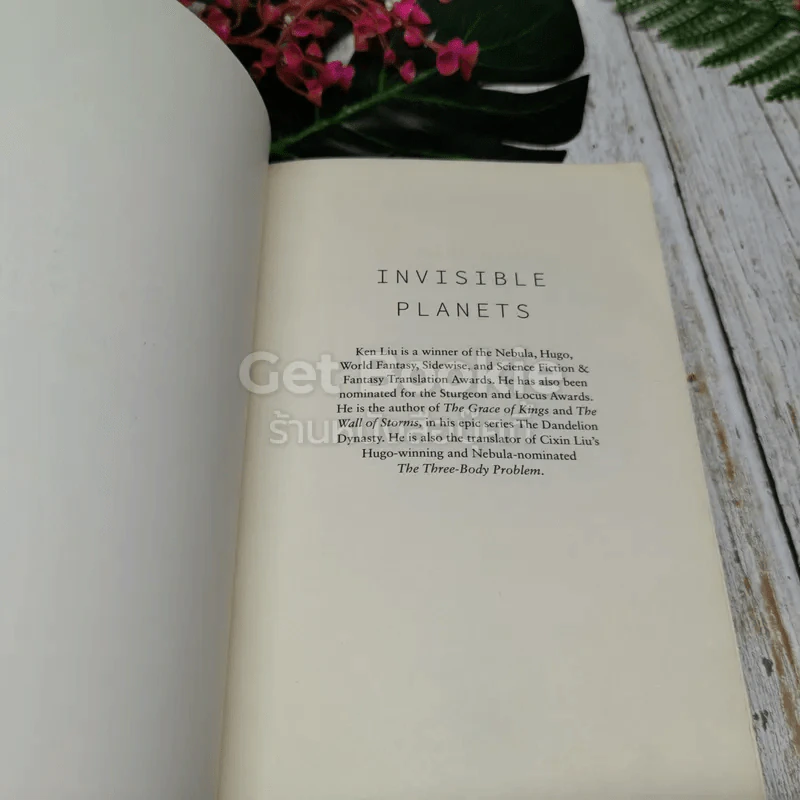 Invisible Planets รูปที่ 4