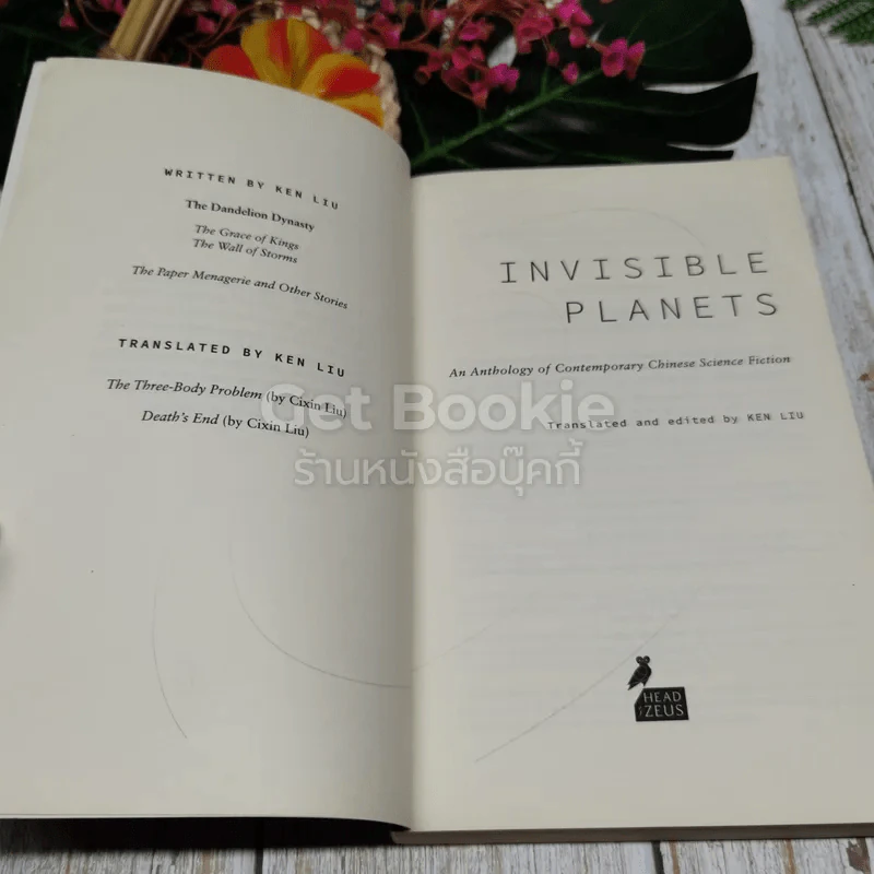 Invisible Planets รูปที่ 5