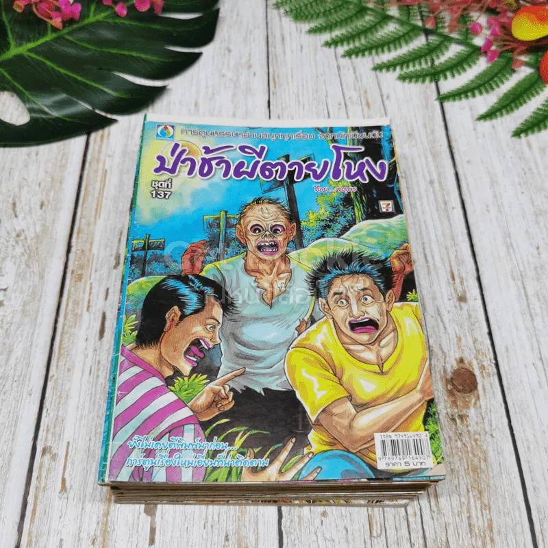 การ์ตูนผีไทย 23 เล่ม รูปที่ 14