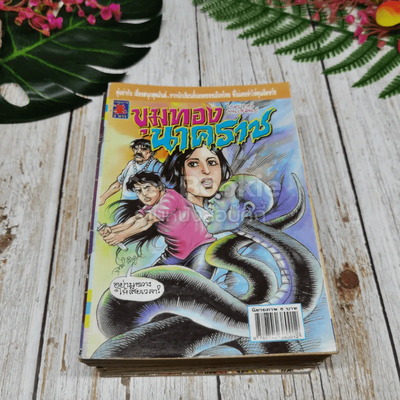 การ์ตูนผีไทย 23 เล่ม รูปที่ 10