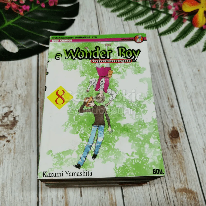 a Wonder Boy หนุ่มน้อยทะลุมิติ เล่ม 1-8 รูปที่ 6