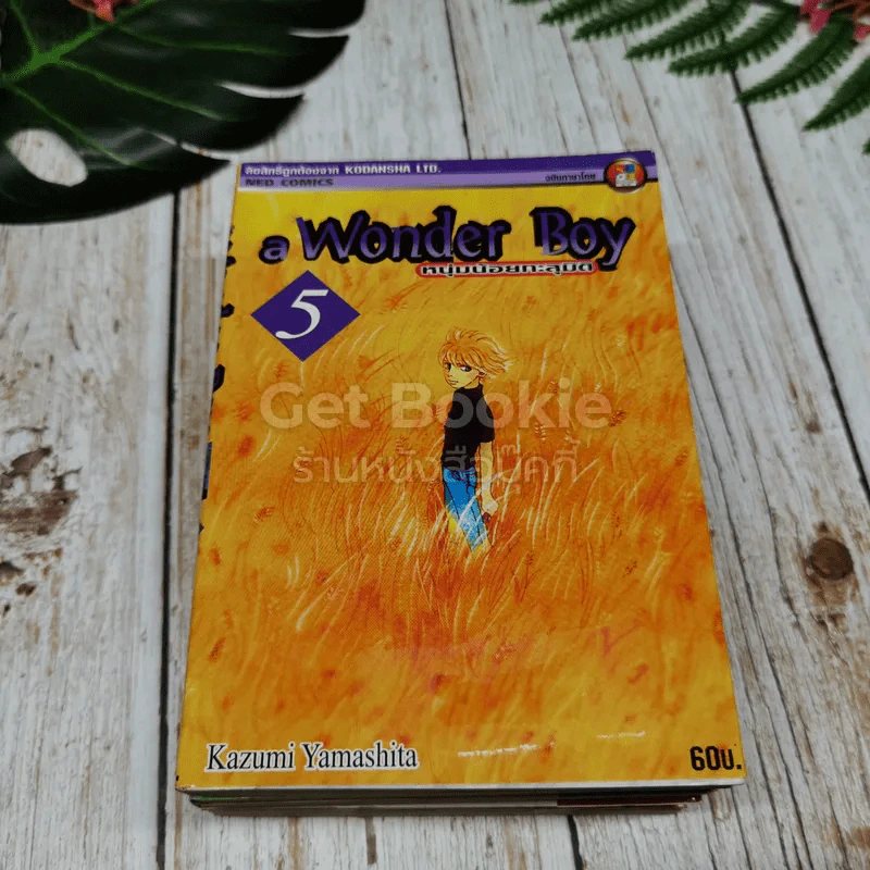 a Wonder Boy หนุ่มน้อยทะลุมิติ เล่ม 1-8 รูปที่ 9