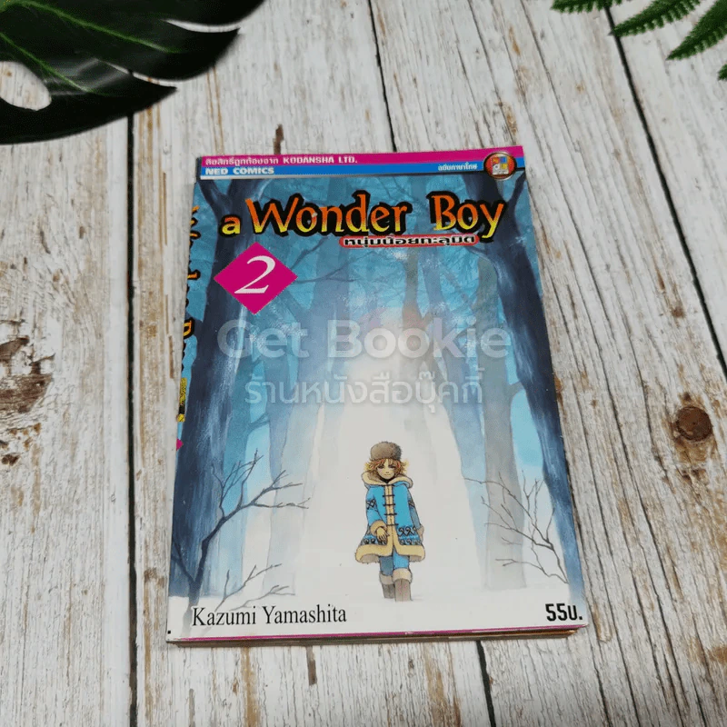 a Wonder Boy หนุ่มน้อยทะลุมิติ เล่ม 1-8 รูปที่ 12