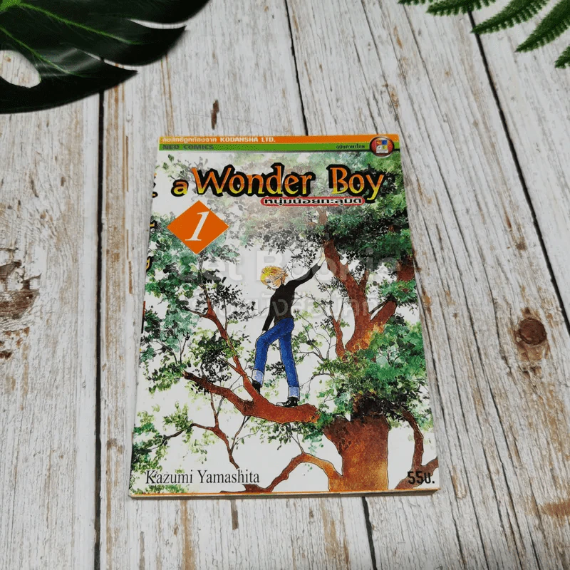 a Wonder Boy หนุ่มน้อยทะลุมิติ เล่ม 1-8 รูปที่ 13