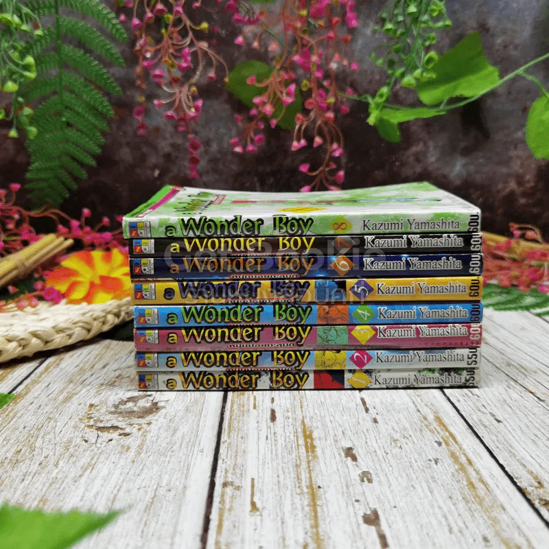 a Wonder Boy หนุ่มน้อยทะลุมิติ เล่ม 1-8 รูปที่ 2