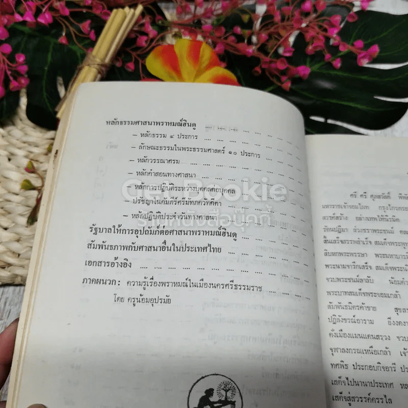 รายงานการอุปถัมภ์ศาสนาอื่น ศาสนาพราหมณ์-ฮินดู รูปที่ 12