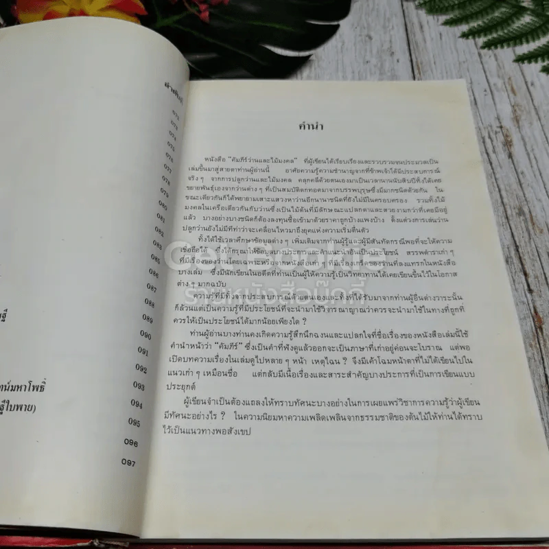 คัมภีร์ว่านและไม้มงคล ฉบับสมบูรณ์ รูปที่ 10
