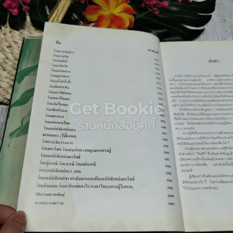 คัมภีร์ว่านและไม้มงคล ฉบับสมบูรณ์ รูปที่ 9