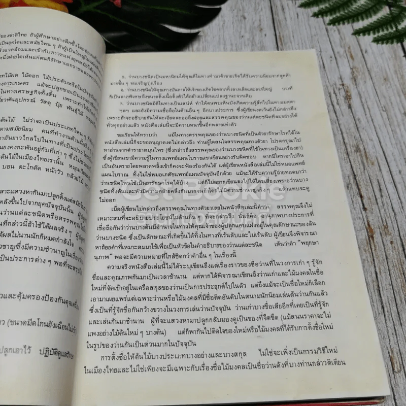 คัมภีร์ว่านและไม้มงคล ฉบับสมบูรณ์ รูปที่ 12