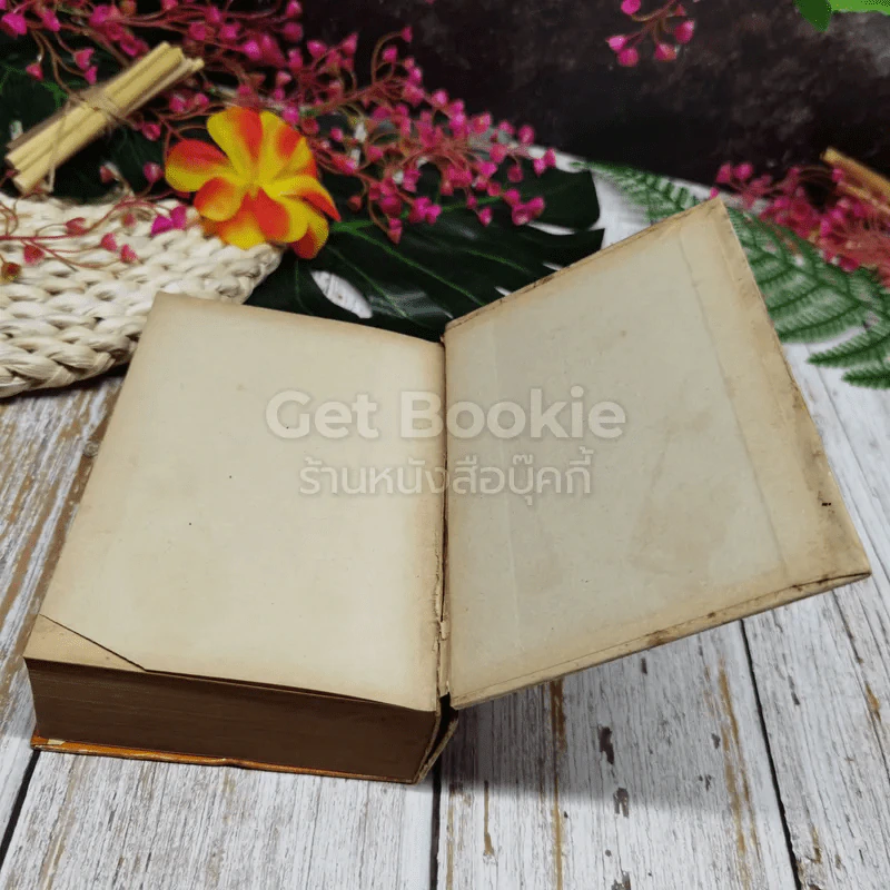 ชั่วชีวิตของผม 2 เล่มจบ รูปที่ 14