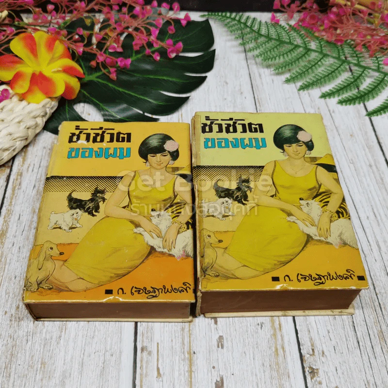 ชั่วชีวิตของผม 2 เล่มจบ รูปที่ 1
