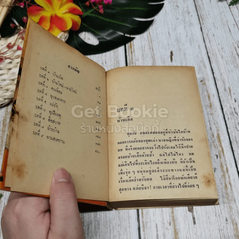 ชั่วชีวิตของผม 2 เล่มจบ รูปที่ 8