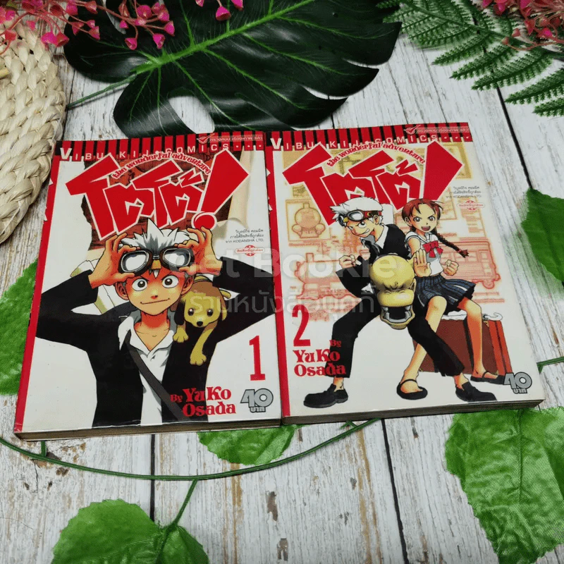 โตโต้ The wonderful Adventure 5 เล่มจบ รูปที่ 6