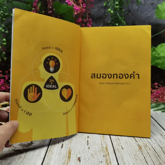 สมองทองคำ รูปที่ 5