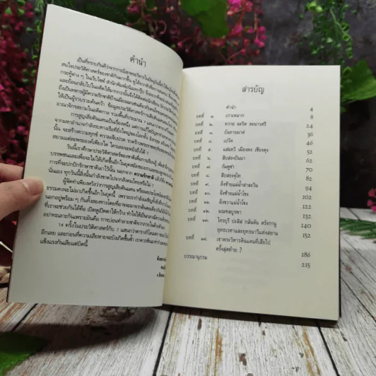 บันทึกไว้ในประวัติศาสตร์ แผ่นดินที่เสียไป รูปที่ 5