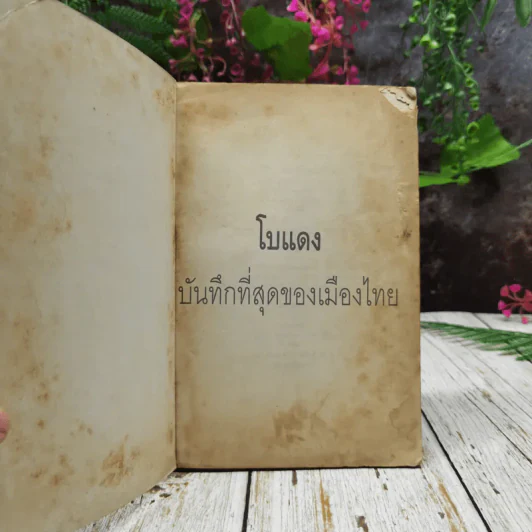 ปรากฎการณ์แรกในวงการหนังสือ บันทึกที่สุดของเมืองไทย โบแดง 2534 รูปที่ 4