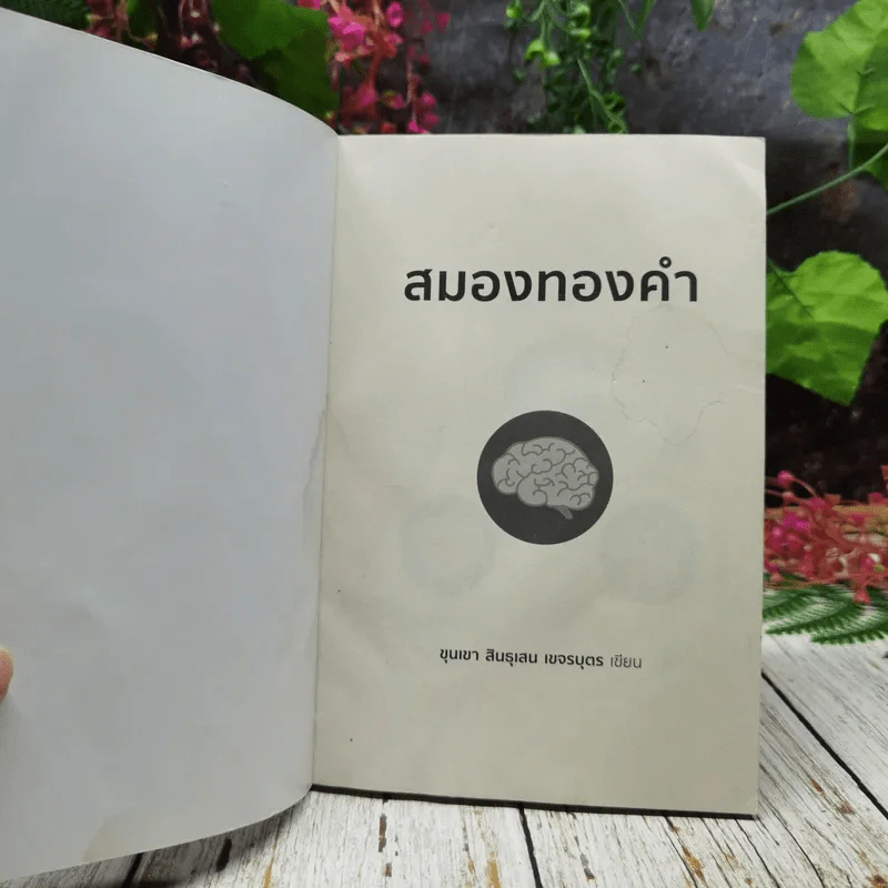 สมองทองคำ รูปที่ 4