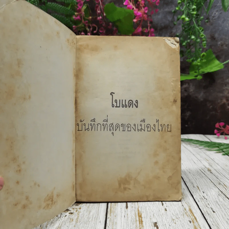 ปรากฎการณ์แรกในวงการหนังสือ บันทึกที่สุดของเมืองไทย โบแดง 2534 รูปที่ 4