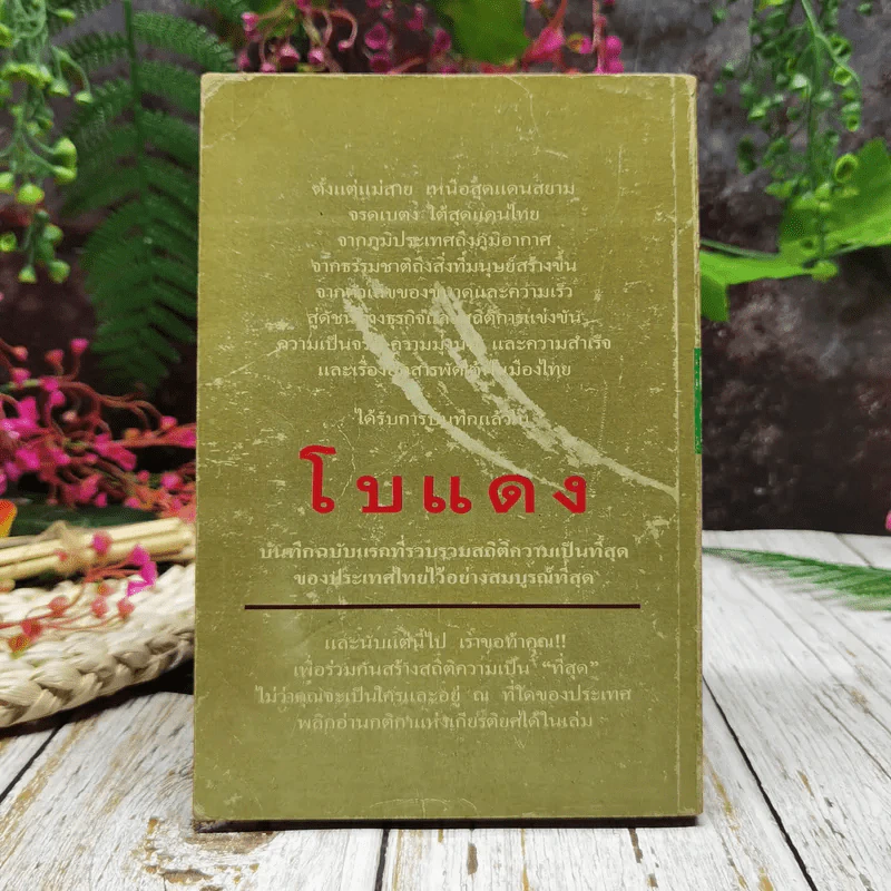 ปรากฎการณ์แรกในวงการหนังสือ บันทึกที่สุดของเมืองไทย โบแดง 2534 รูปที่ 11