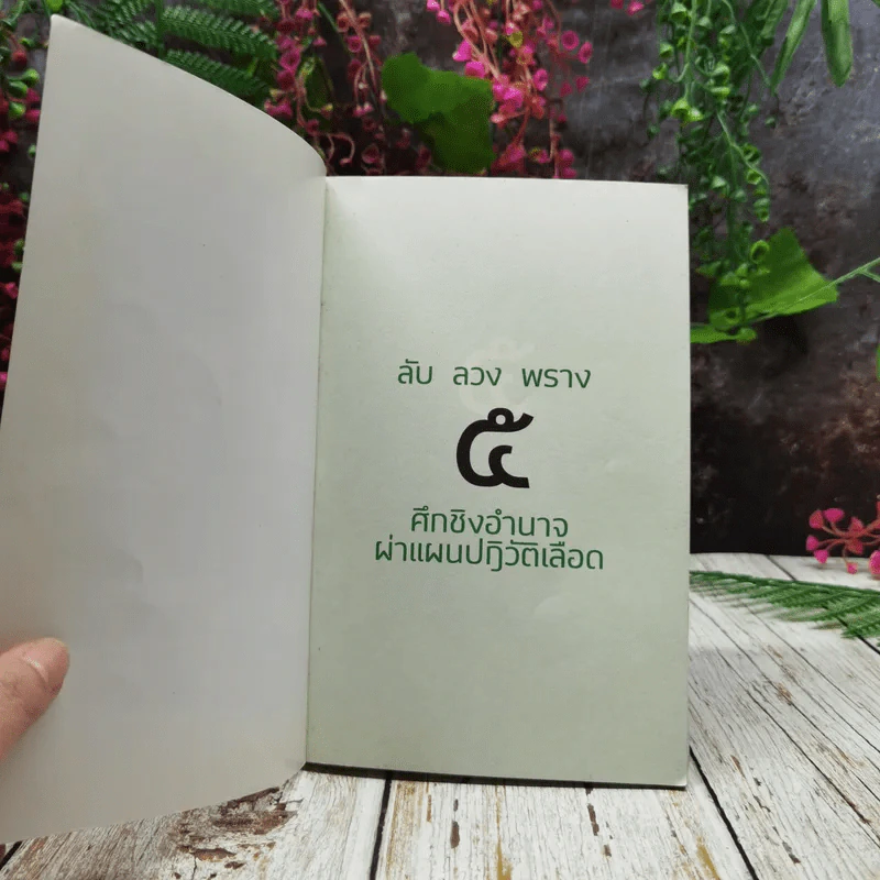 ลับลวงพราง 5 ศึกชิงอำนาจผ่าแผนปฏิวัติเลือด รูปที่ 4