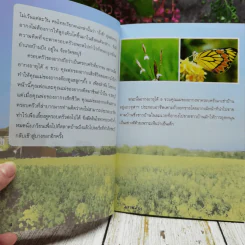 อากงเล่าว่า รูปที่ 6