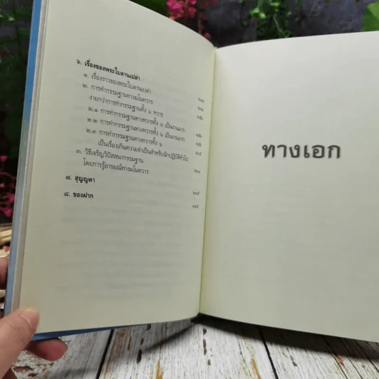 ทางเอก รูปที่ 10