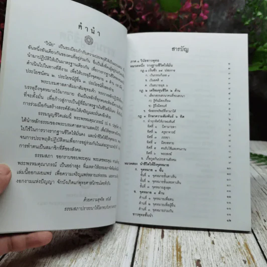 ธรรมนูญชีวิต ฉบับชาวบ้าน รูปที่ 5