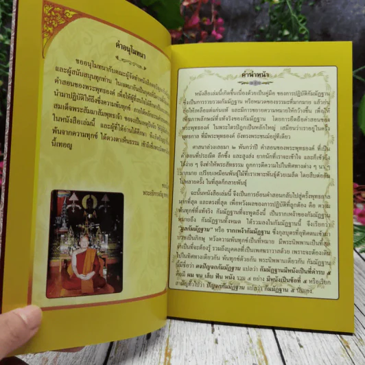ตจปัญจกกัมมัฏฐาน รูปที่ 6