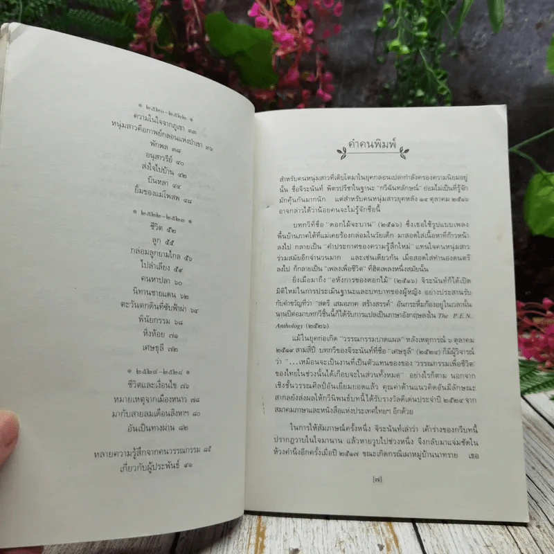 ใบไม้ที่หายไป รูปที่ 7