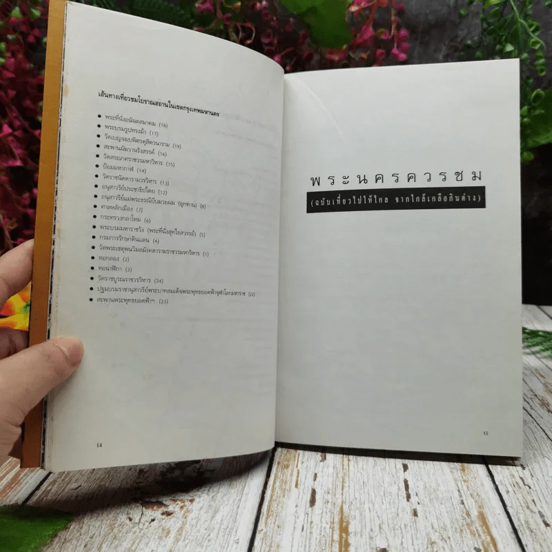 พระนครควรชม ฉบับเกี้ยวไปให้ไกล จากใกล้เกลือกินด่าง รูปที่ 9