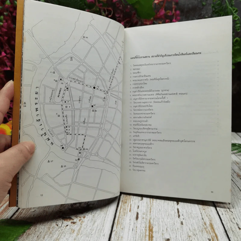 พระนครควรชม ฉบับเกี้ยวไปให้ไกล จากใกล้เกลือกินด่าง รูปที่ 8