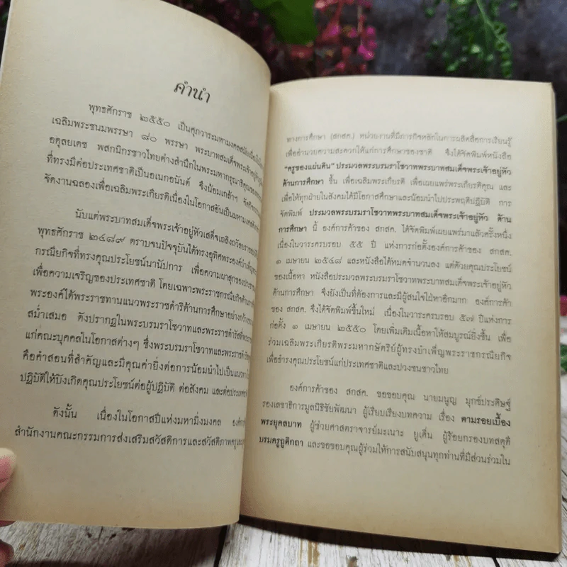 ครูของแผ่นดิน รูปที่ 5