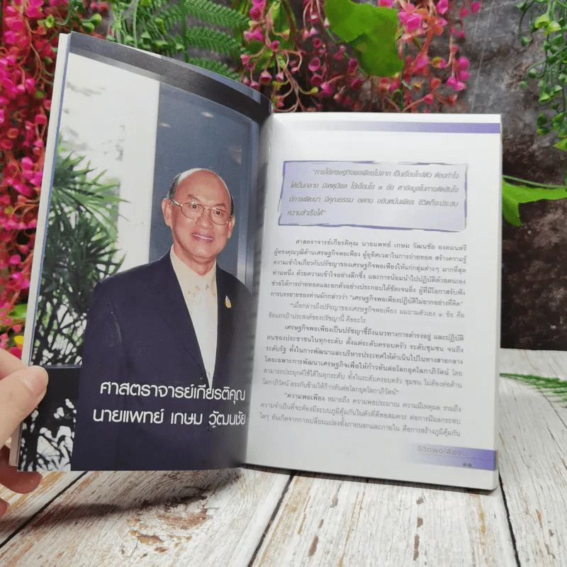 ชีวิตพอเพียง รูปที่ 9