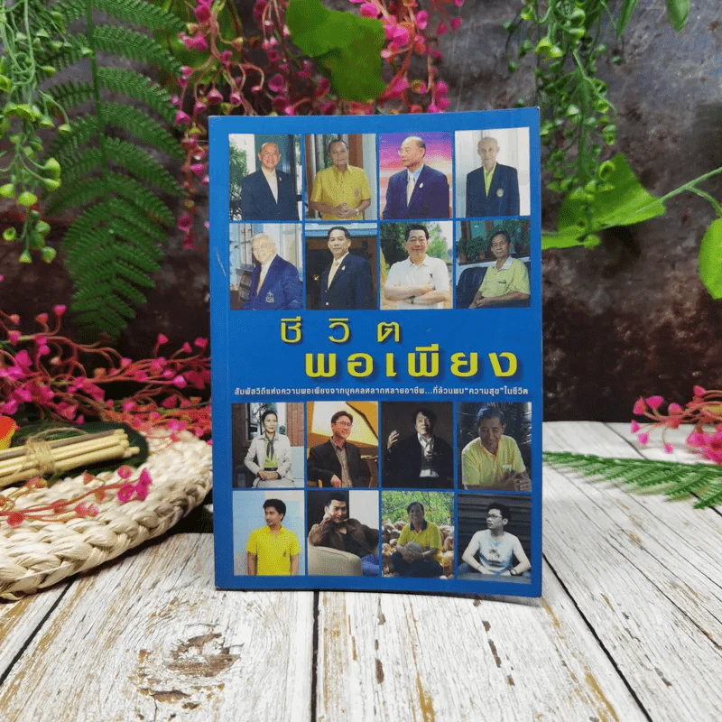 ชีวิตพอเพียง รูปที่ 1
