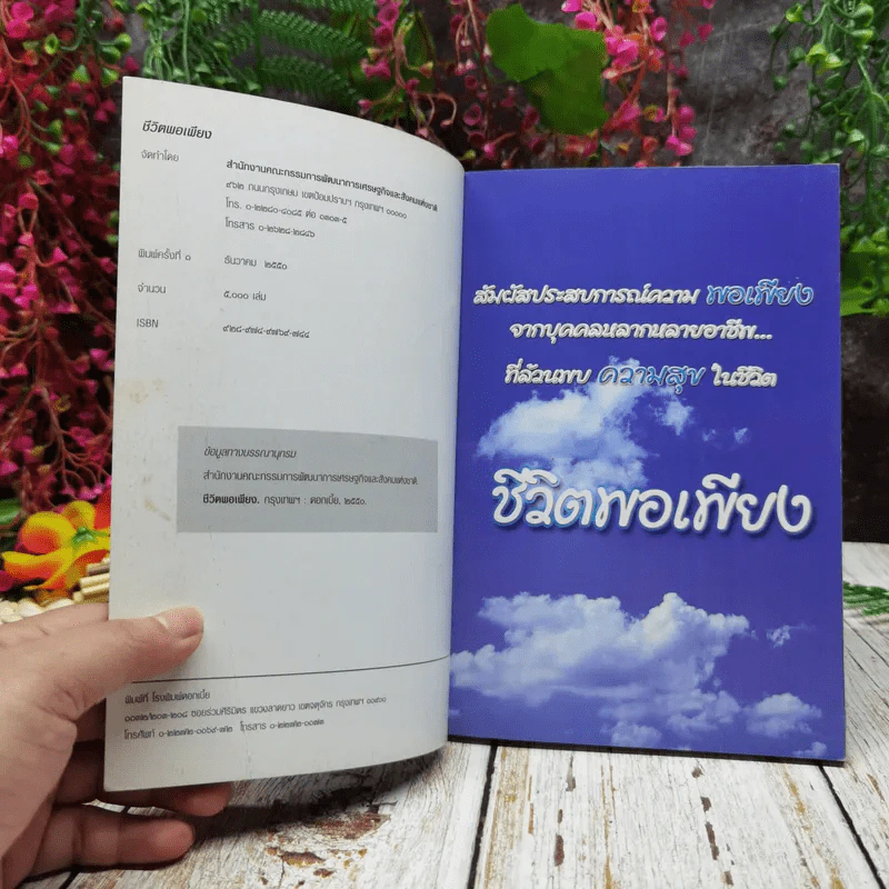 ชีวิตพอเพียง รูปที่ 4
