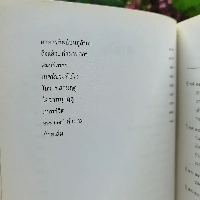 บัวสีน้ำเงิน รูปที่ 9