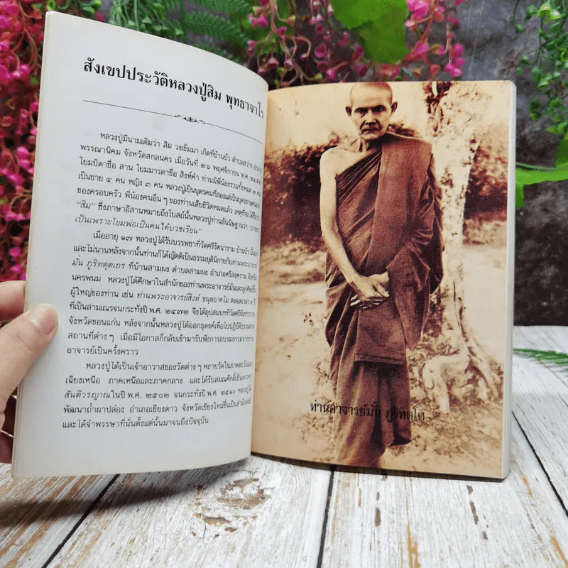 บัวสีน้ำเงิน รูปที่ 7