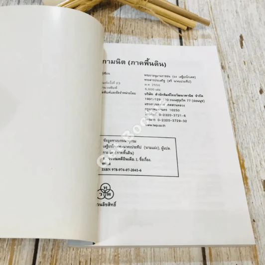 กามนิต (ภาคพื้นดิน) รูปที่ 4