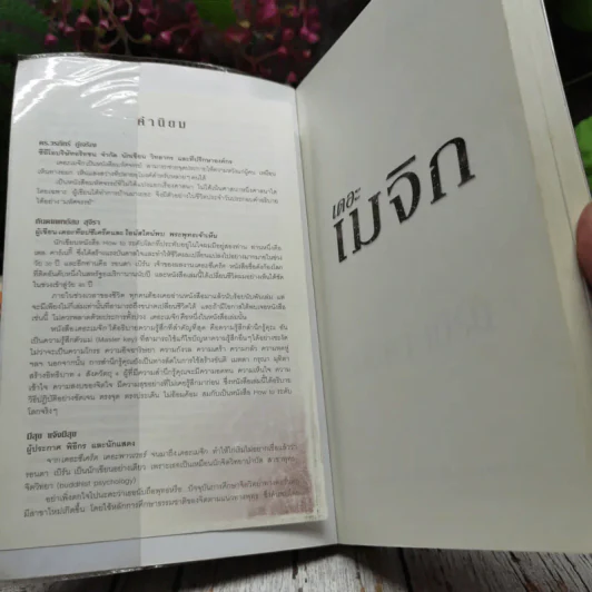 เดอะเมจิก รูปที่ 2