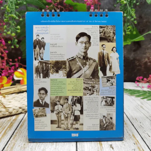 ปฏิธิน Tisco พ.ศ.2554 รูปที่ 5