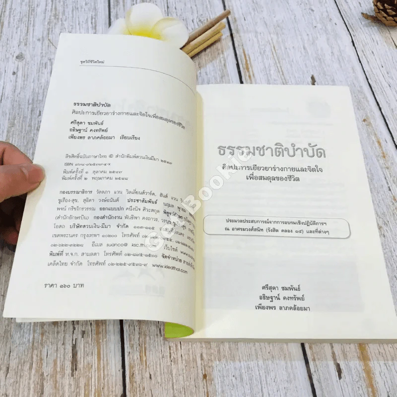 ธรรมชาติบำบัด ศิลปะการเยียวยาร่างกายและจิตใจเพื่อสมดุลของชีวิต รูปที่ 5