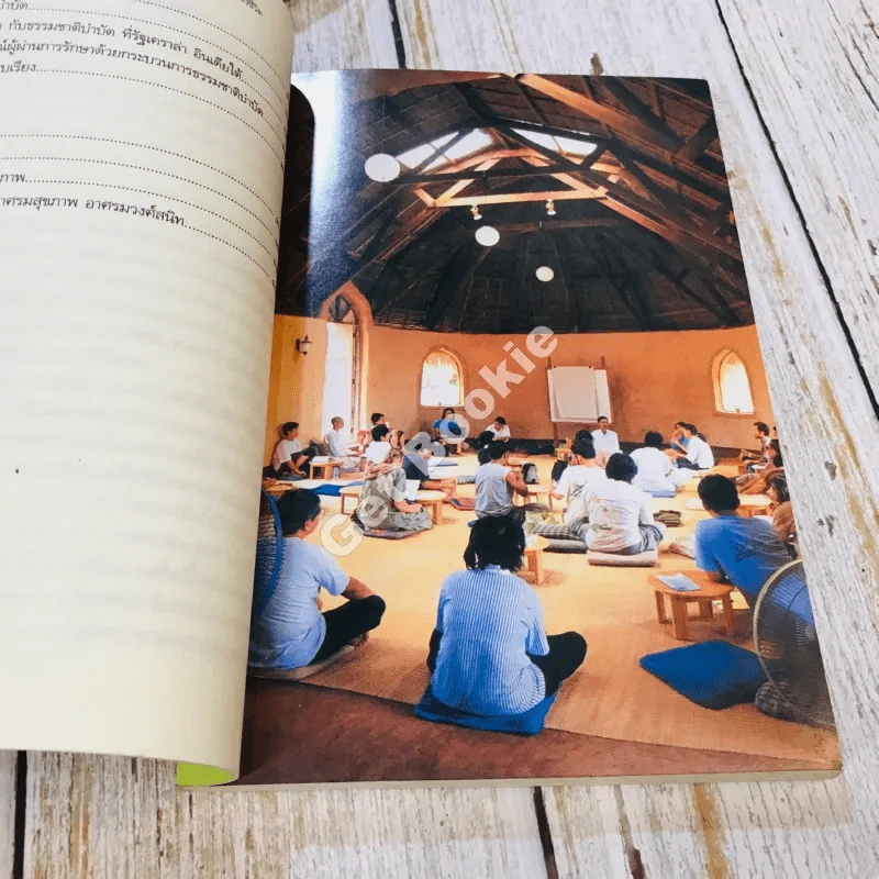 ธรรมชาติบำบัด ศิลปะการเยียวยาร่างกายและจิตใจเพื่อสมดุลของชีวิต รูปที่ 10