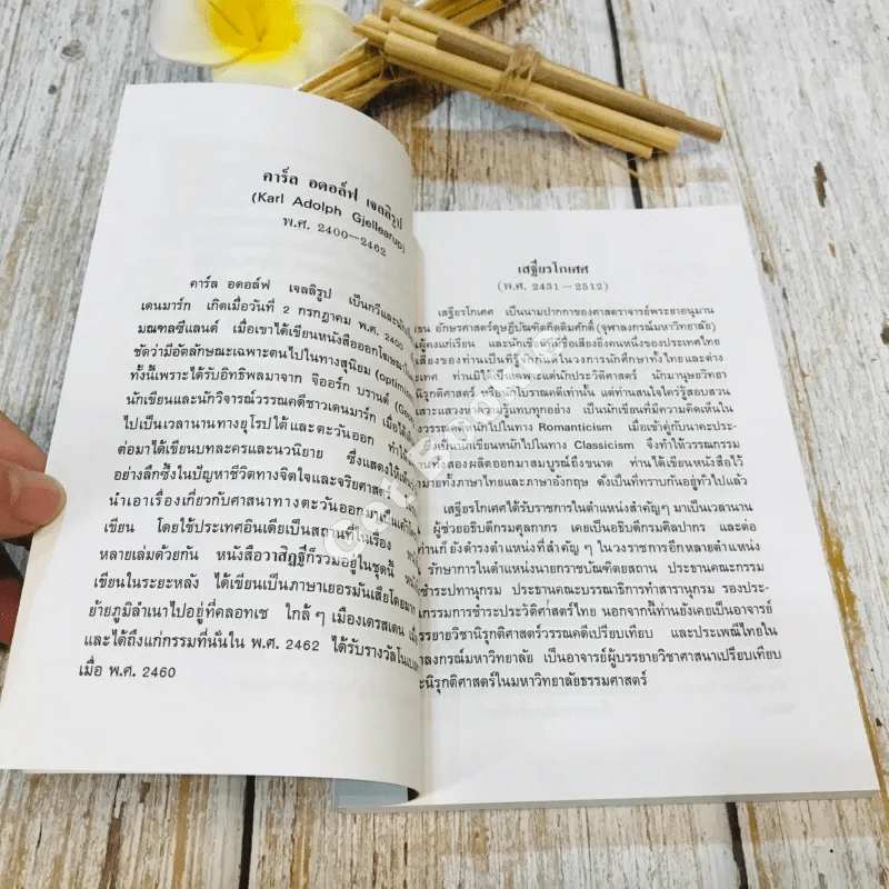 กามนิต (ภาคพื้นดิน) รูปที่ 8