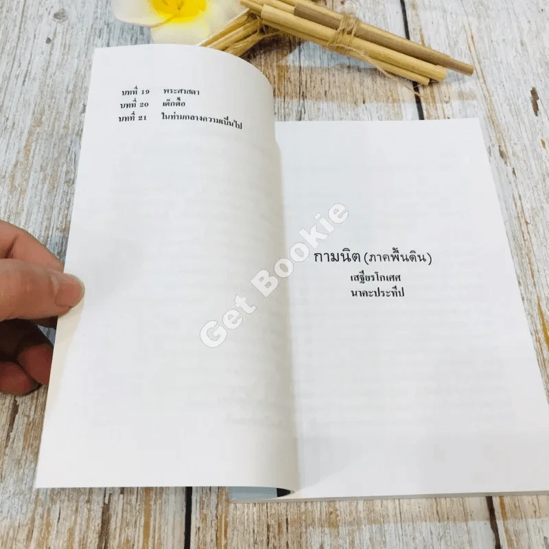 กามนิต (ภาคพื้นดิน) รูปที่ 10