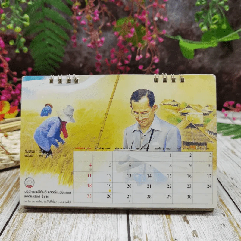 ปฏิทิน บริษัทอเมริกันอินเตอร์เนชั่นแนล แอสชัวรันส์ จำกัด พ.ศ.2537 รูปที่ 10