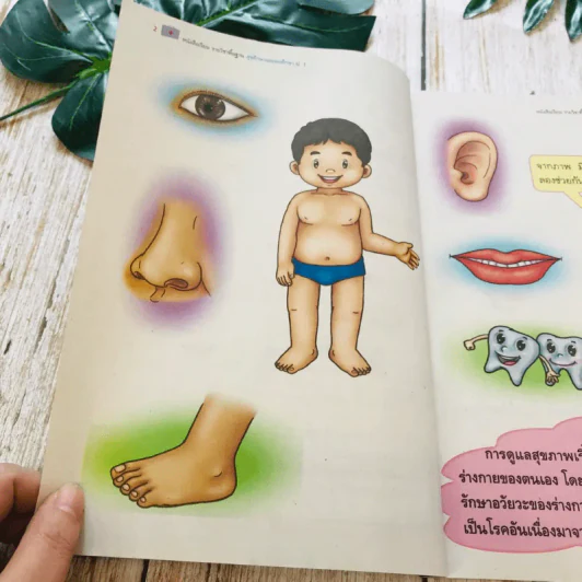 สุขศึกษาและพลศึกษา ป.1 รูปที่ 12