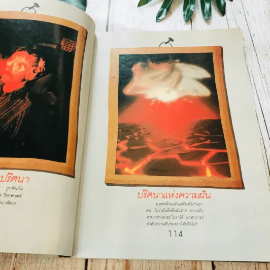 ชุดลึกลับอมตะ เล่ม 1-4 รูปที่ 27
