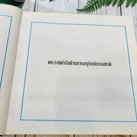 ทวิสมโภช ในหลวงร.9 รูปที่ 60