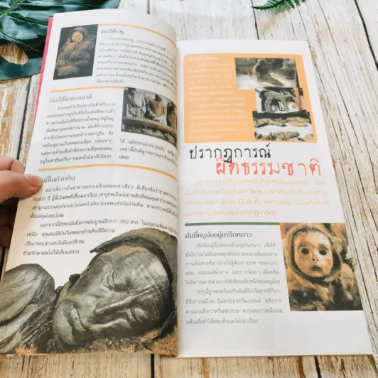 เล่มโปรด ปีที่ 2 ฉบับที่ 13 และ 18 Harry Potter รูปที่ 15